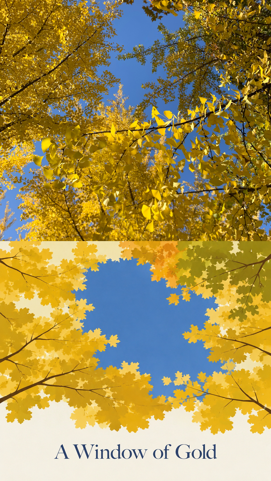 A Window of Gold