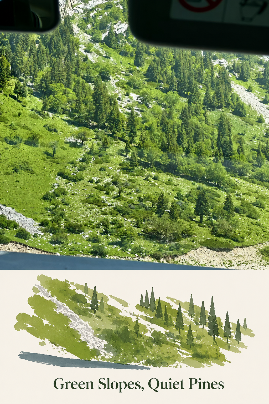 Green Slopes, Quiet Pines